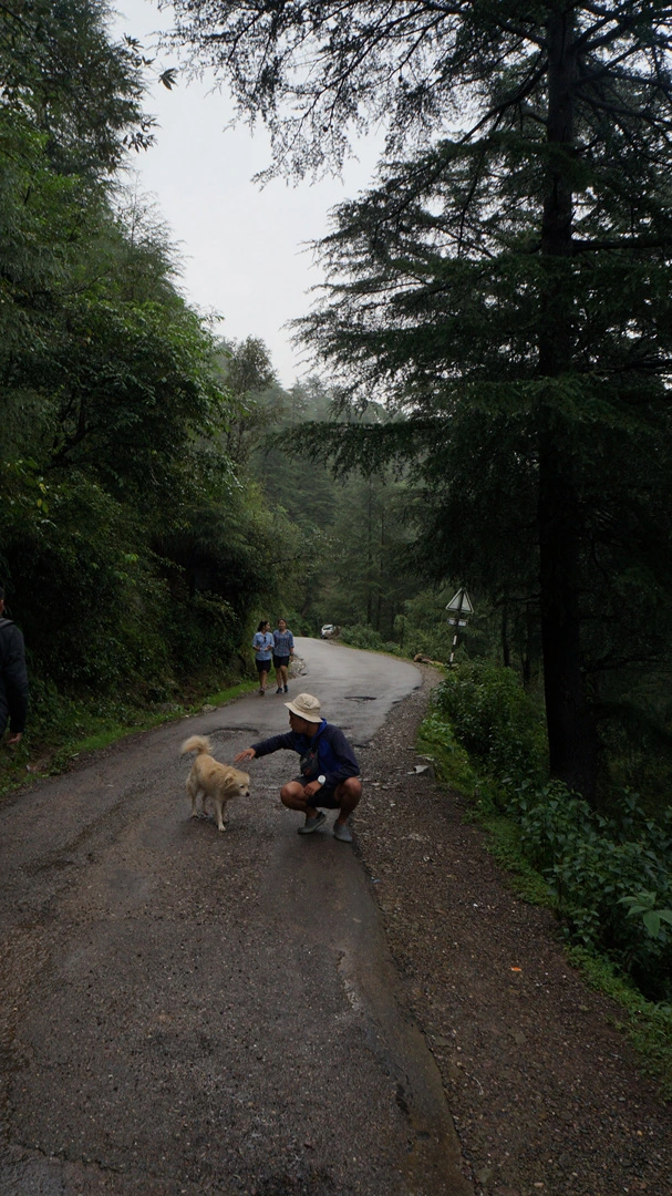 DSC02595.jpg?type=w1