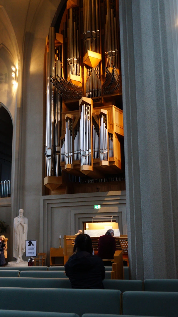 DSC09314.jpg?type=w1