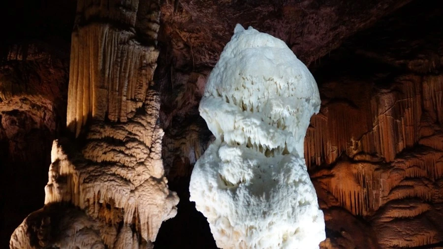 DSC06451.jpg?type=w1