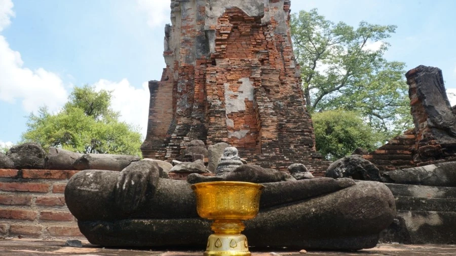 DSC01447%A4%D1.jpg?type=w1