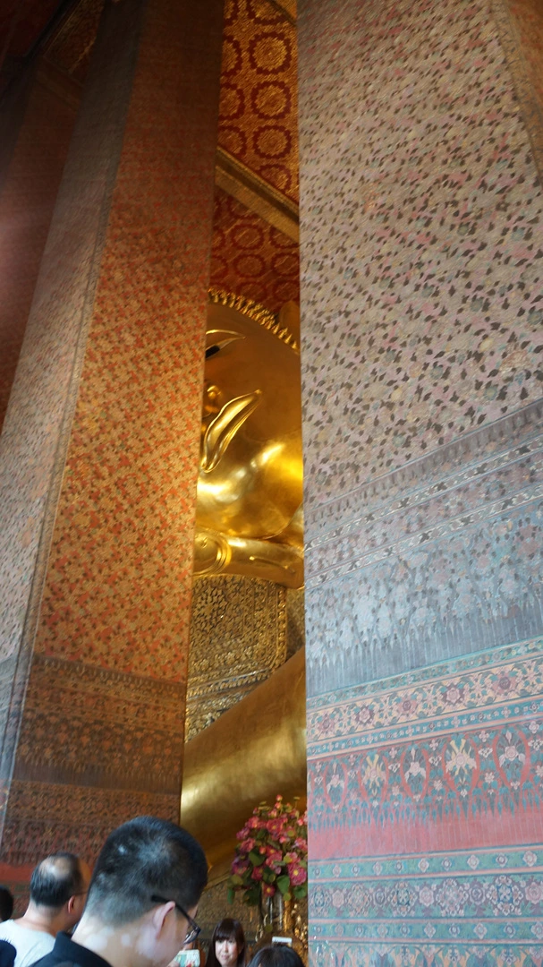 DSC01291.jpg?type=w1