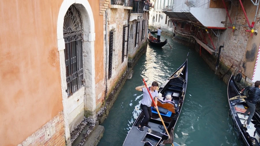 DSC06725.jpg?type=w1