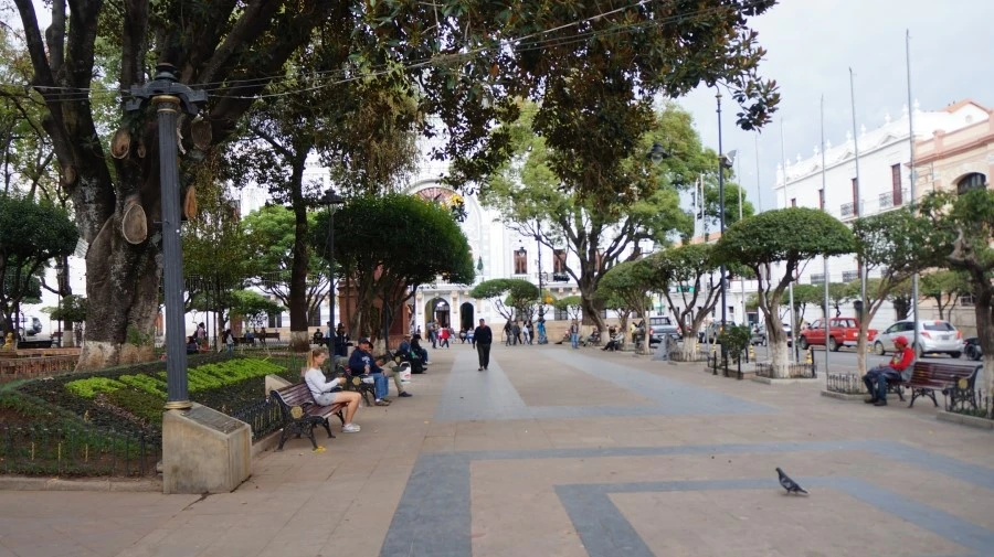 DSC00687.jpg?type=w1