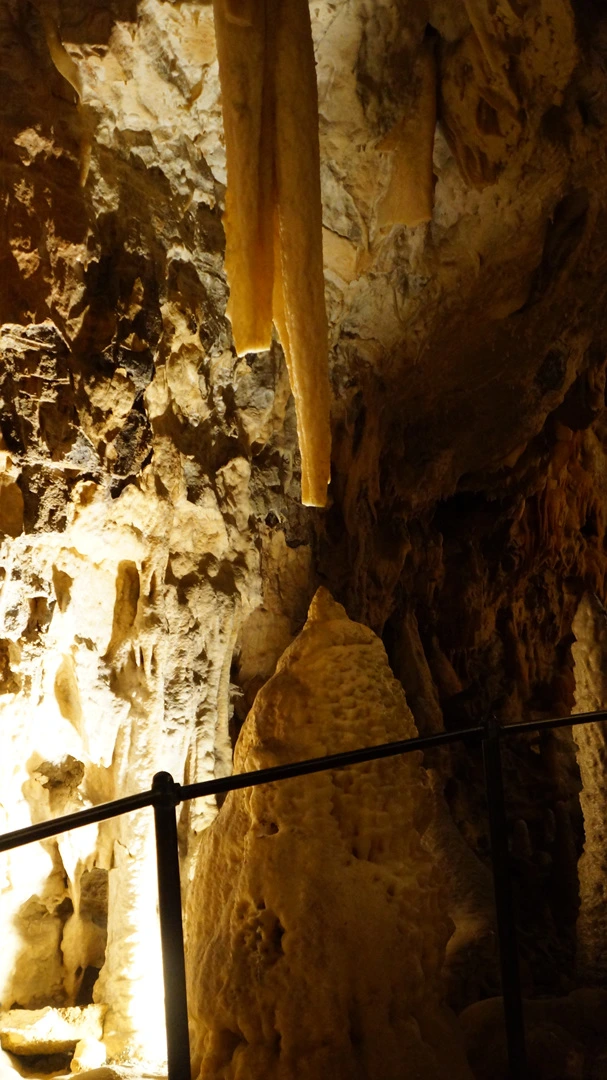 DSC06389.jpg?type=w1