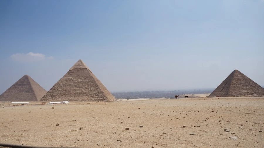 DSC04381.jpg?type=w1