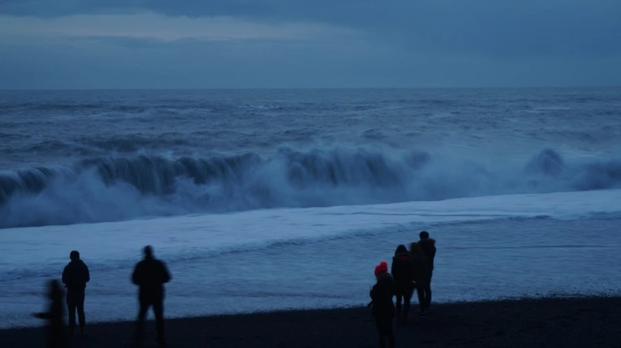 DSC08590%E3%85%A1.jpg?type=w1