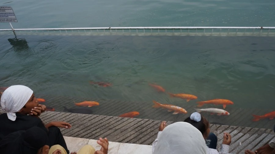 DSC02730.jpg?type=w1