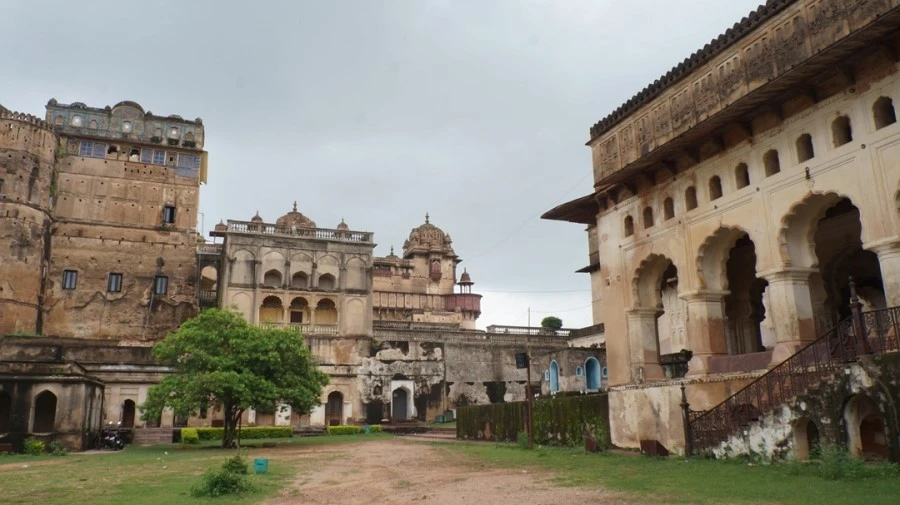 DSC03383.jpg?type=w1