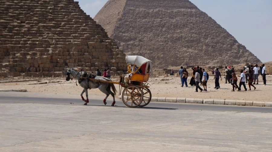 DSC04334.jpg?type=w1