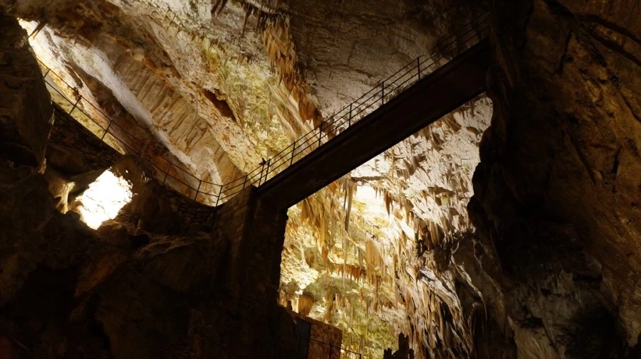 DSC06441%A4%D1.jpg?type=w1