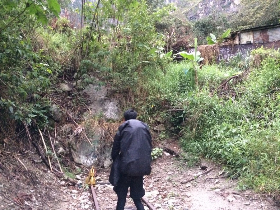 IMG_7747.jpg?type=w1