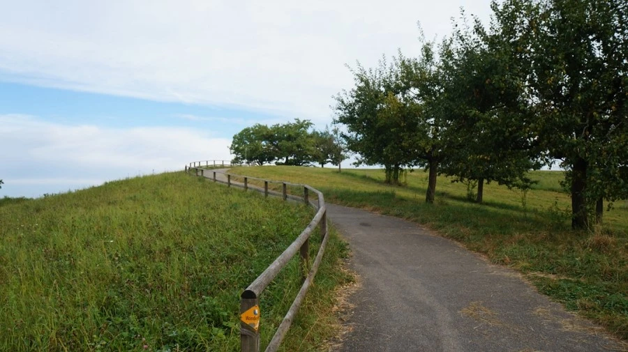 DSC04586.jpg?type=w1