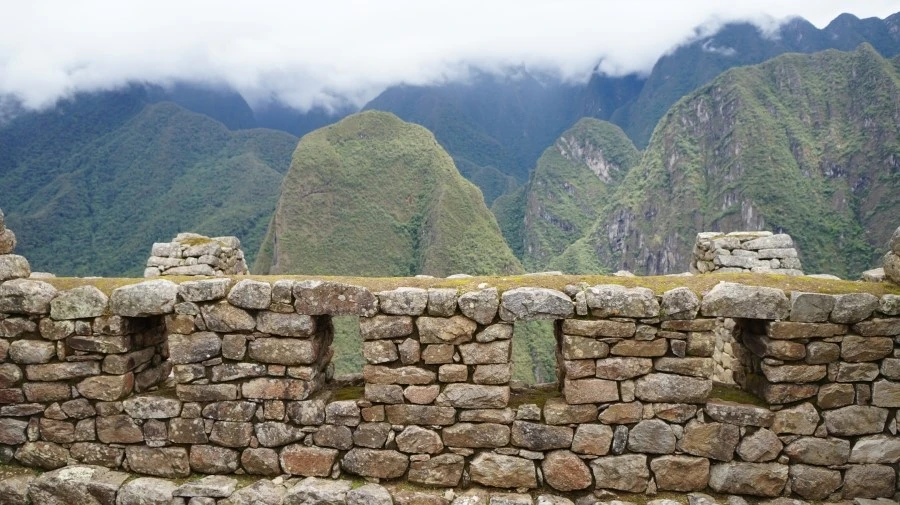 DSC01507.jpg?type=w1