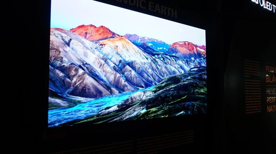 DSC09296.jpg?type=w1