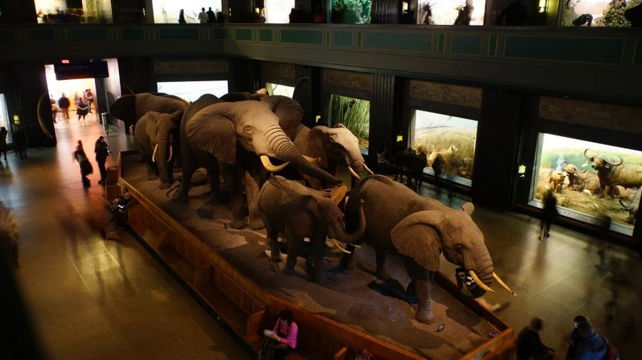 DSC04373.jpg?type=w1