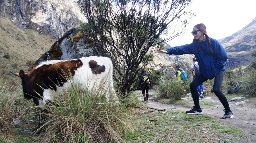 DSC01588.jpg?type=w1