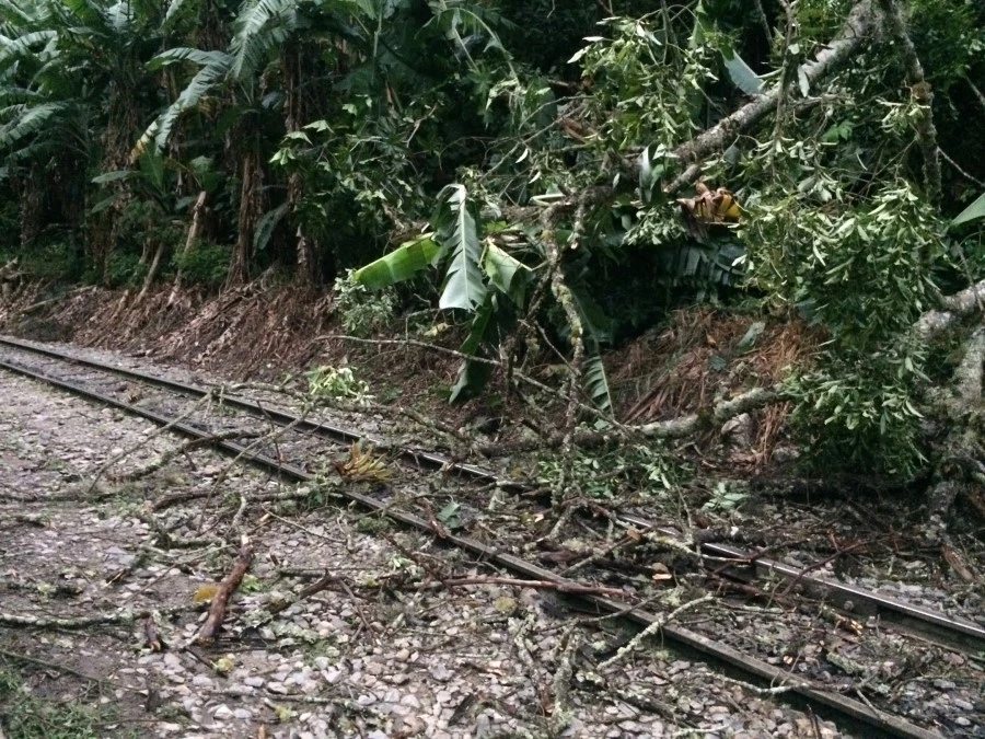 IMG_7746.jpg?type=w1