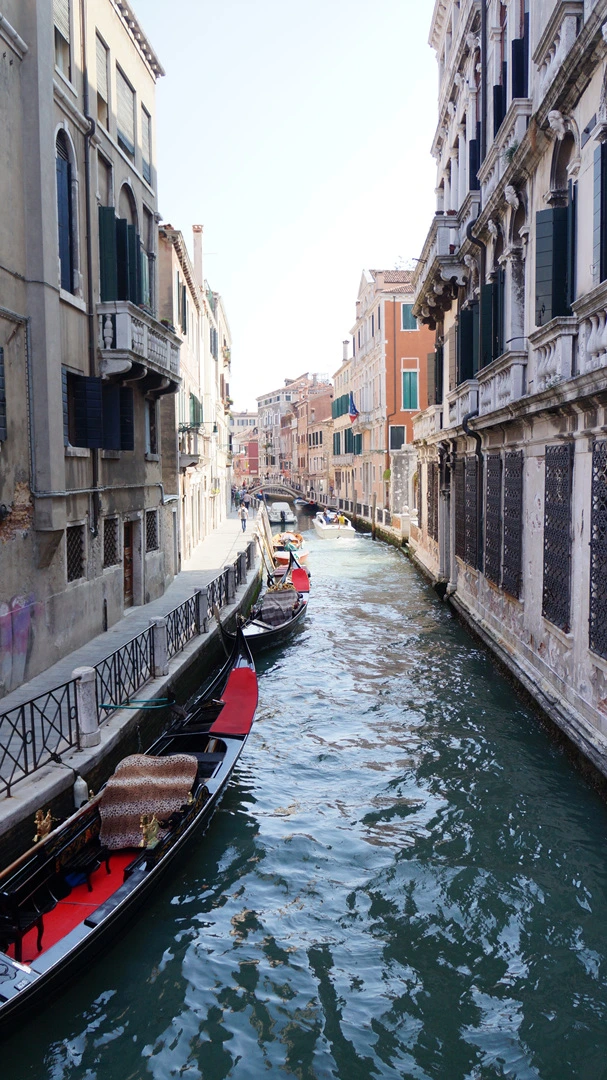 DSC06559.jpg?type=w1