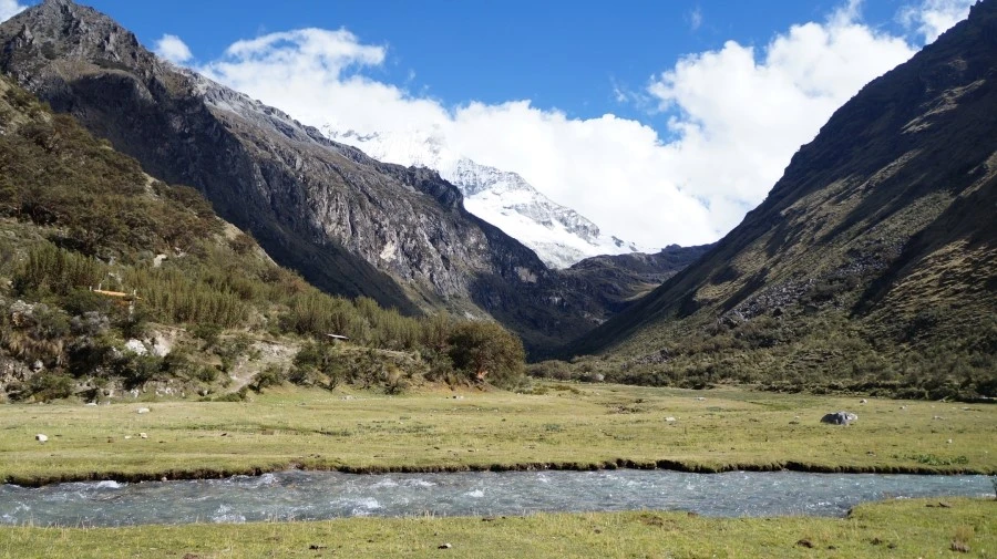 DSC01571.jpg?type=w1