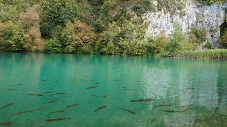 DSC05678.jpg?type=w1