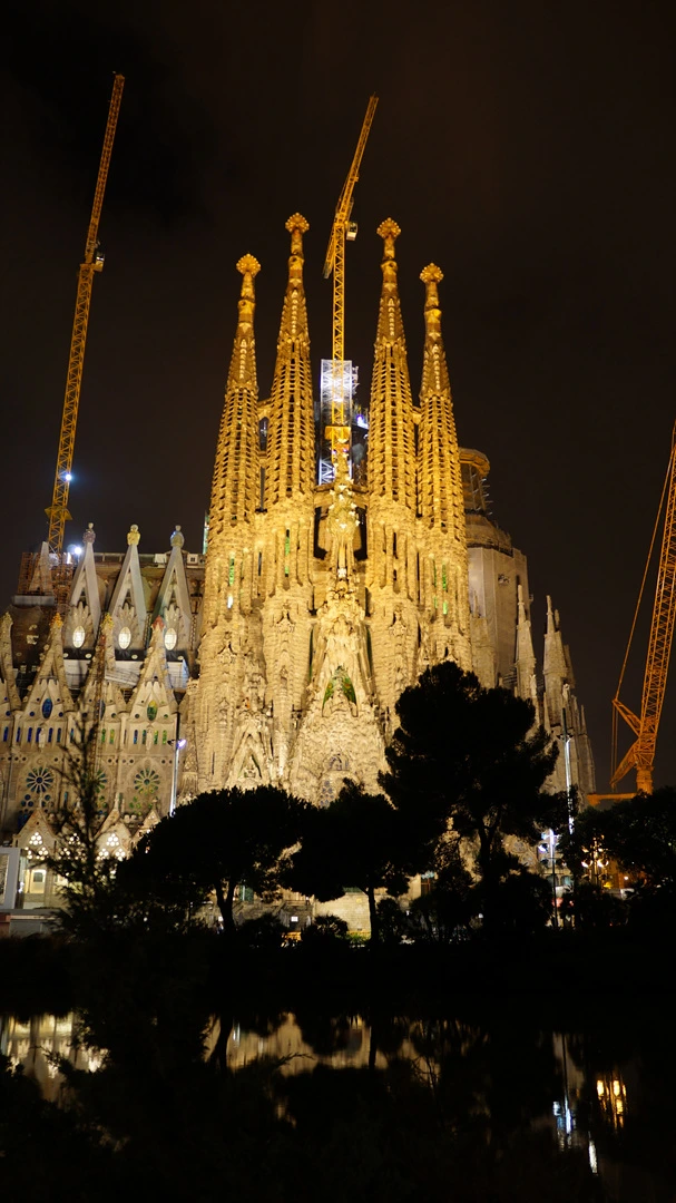 DSC09680%E3%85%A1.jpg?type=w1