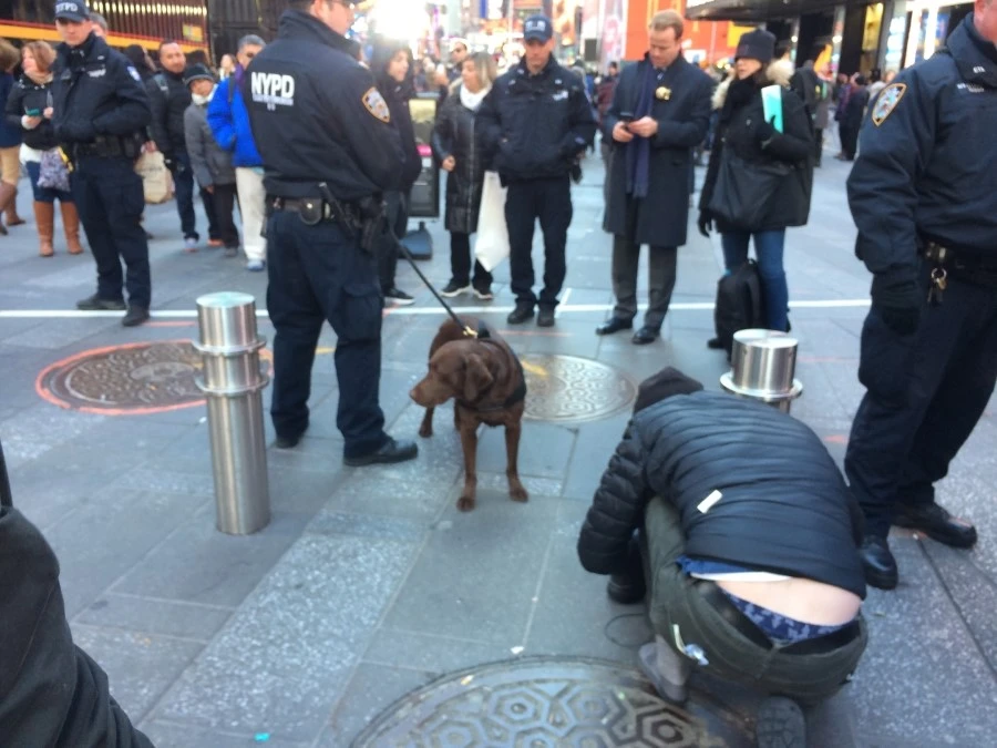 IMG_8050.jpg?type=w1