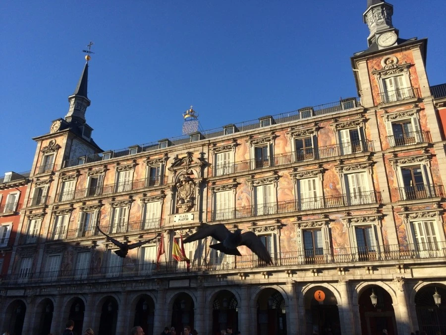 IMG_6253.jpg?type=w1