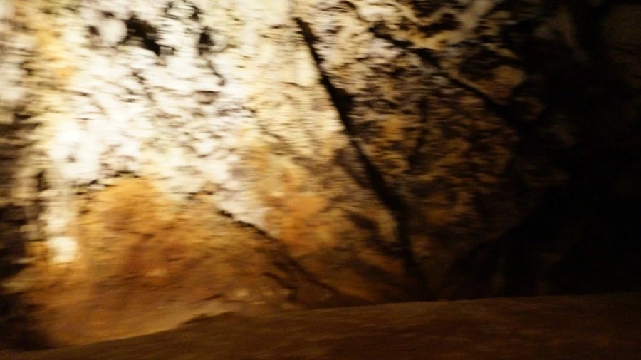 DSC06507.jpg?type=w1