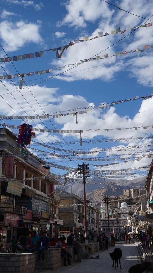 DSC01811.jpg?type=w1