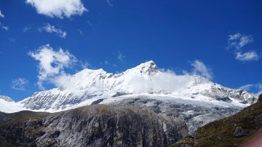 DSC01781.jpg?type=w1