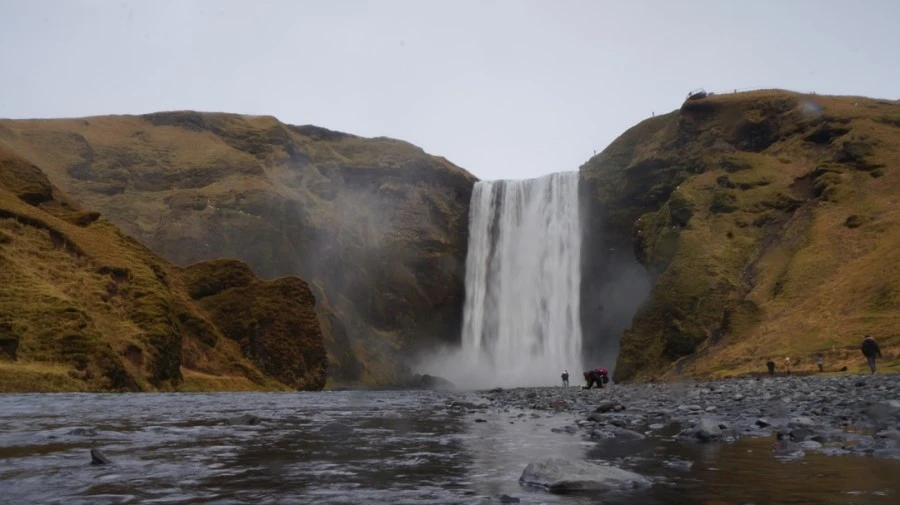 DSC08172%E3%85%A1.jpg?type=w1