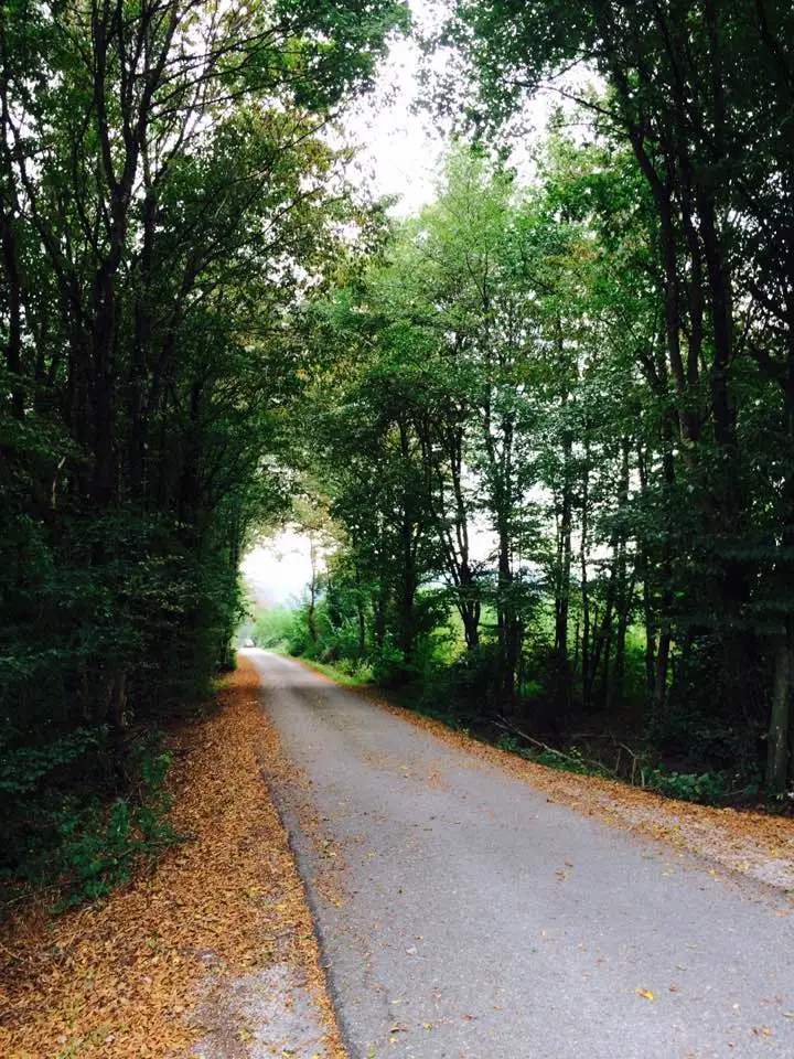 KakaoTalk_20160917_072427199.jpg?type=w1