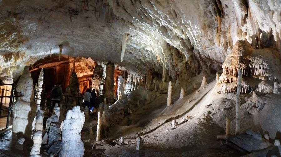 DSC06365.jpg?type=w1