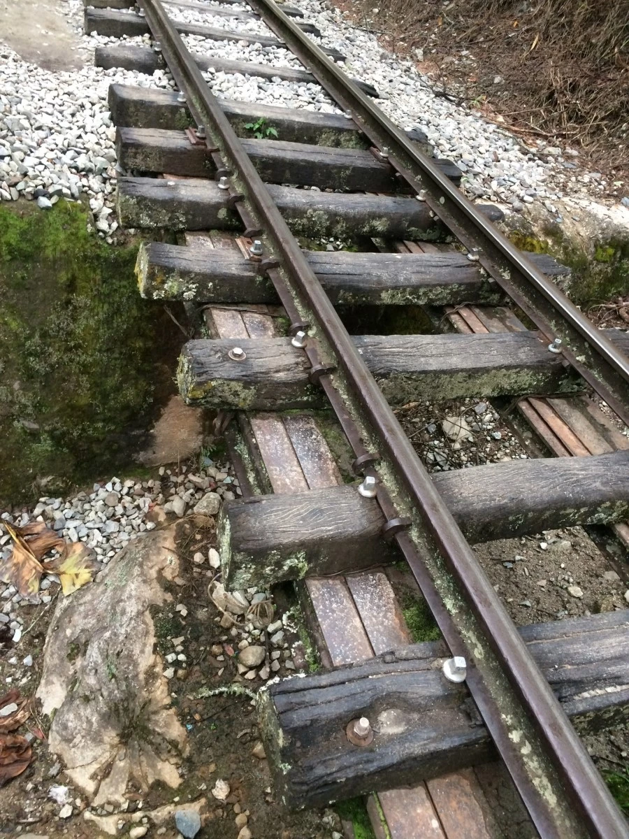 IMG_7754.jpg?type=w1