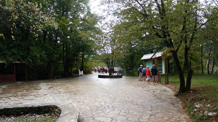 DSC05608.jpg?type=w1