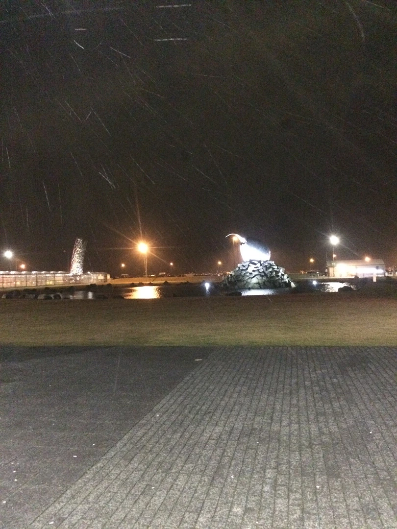 IMG_6118.jpg?type=w1