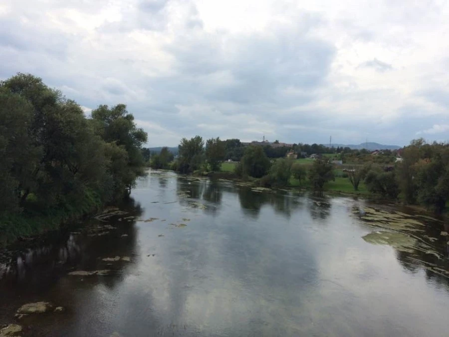 KakaoTalk_20160917_072419835.jpg?type=w1