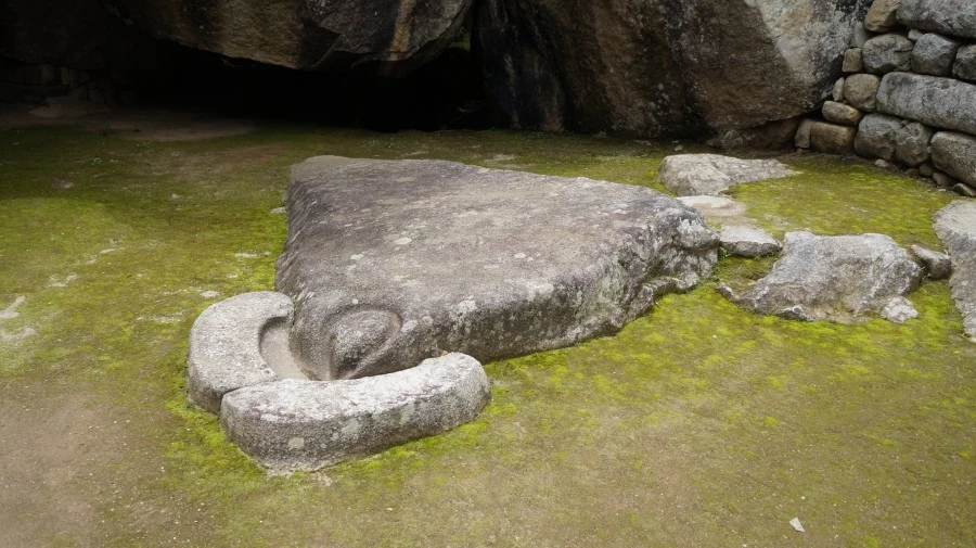 DSC01520.jpg?type=w1