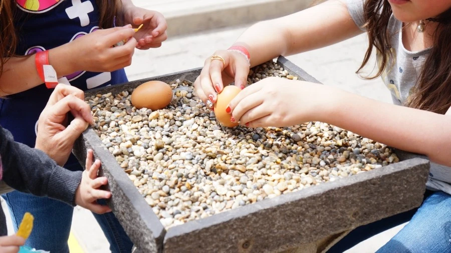 DSC04062.jpg?type=w1