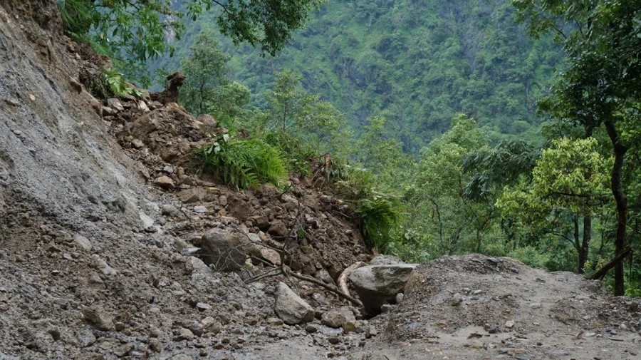 DSC01052%A4%BB.jpg?type=w1