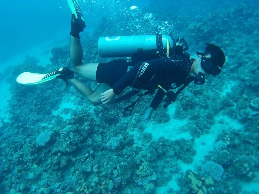 IMG_2890.jpg?type=w1