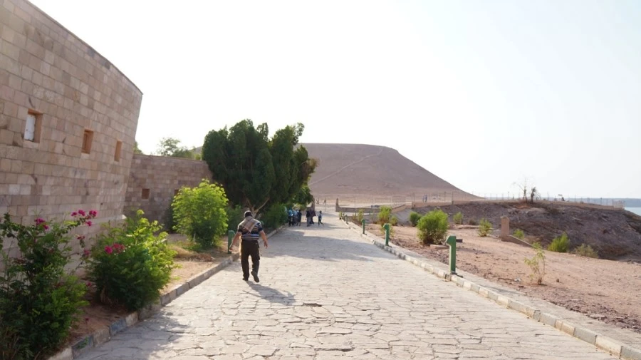 DSC04188.jpg?type=w1