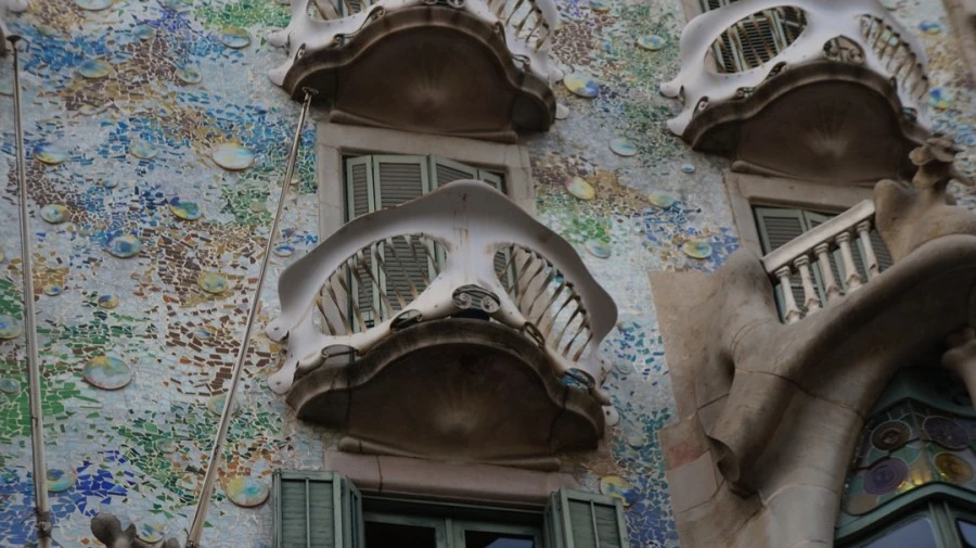 DSC09353.jpg?type=w1