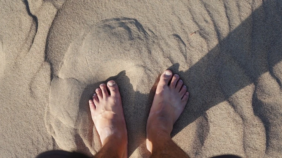 DSC00196.jpg?type=w1