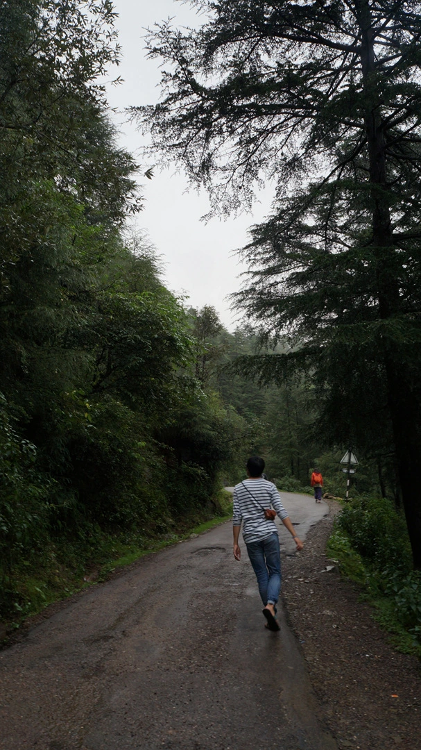 DSC02597.jpg?type=w1