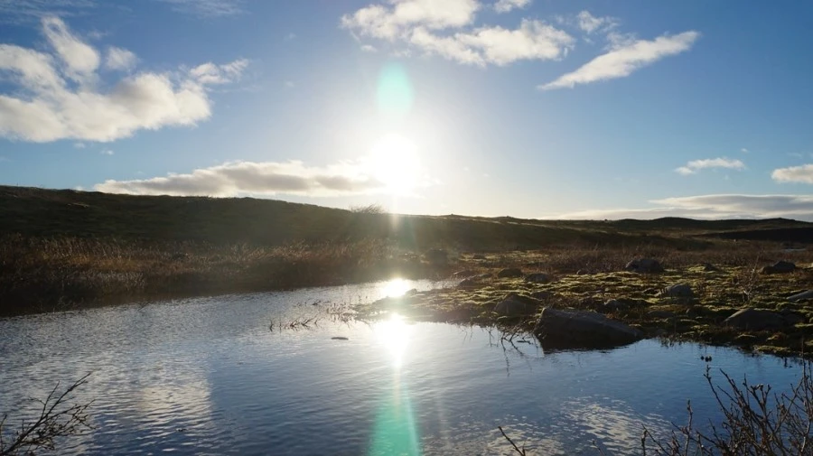 DSC08820%E3%85%A1.jpg?type=w1