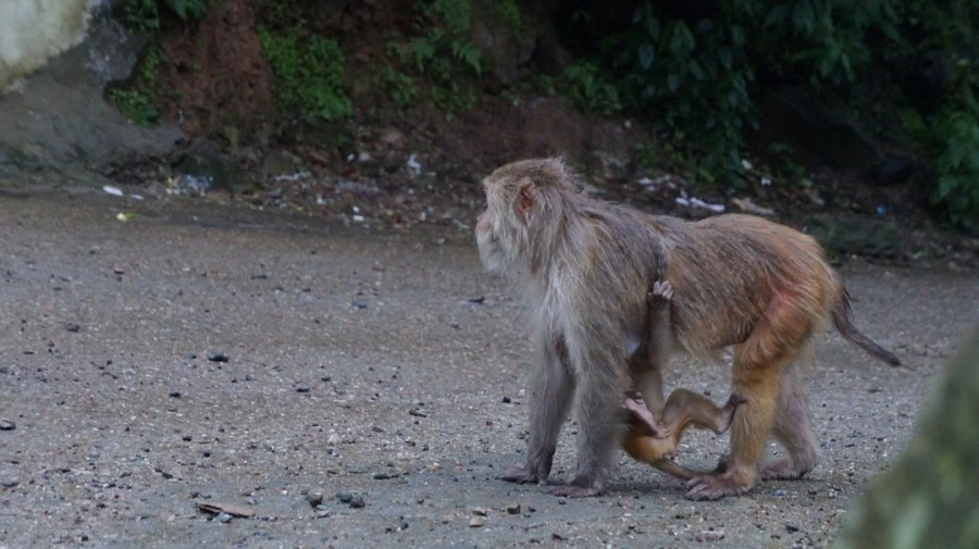 DSC02658.jpg?type=w1