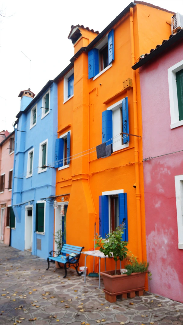 DSC06940%E3%85%A1.jpg?type=w1