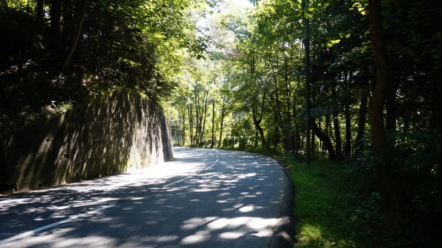 DSC04797.jpg?type=w1