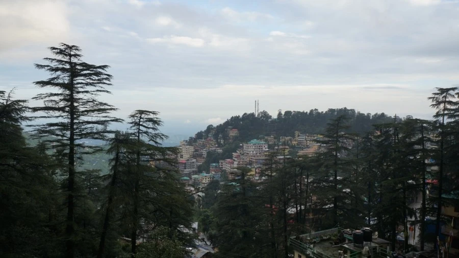 DSC02588.jpg?type=w1